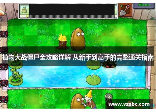 植物大战僵尸全攻略详解 从新手到高手的完整通关指南 植物大战僵尸全攻略详解 从新手到高手的完整通关指南