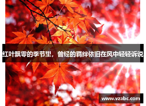 红叶飘零的季节里,曾经的羁绊依旧在风中轻轻诉说 红叶飘零的季节里,曾经的羁绊依旧在风中轻轻诉说